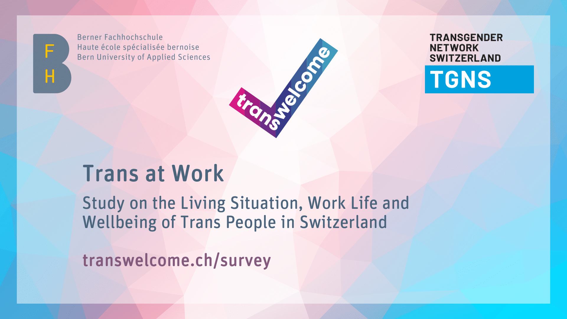 Study on the Living Situation, Work Life and Wellbeing of Trans People in Switzerland